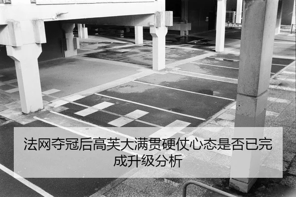 fa-wang-duo-guan-hou-gao-fu-da-man-guan-ying-zhang-xin-tai-shi-fou-yi-wan-cheng-sheng-ji-fen-xi-2-461.jpg