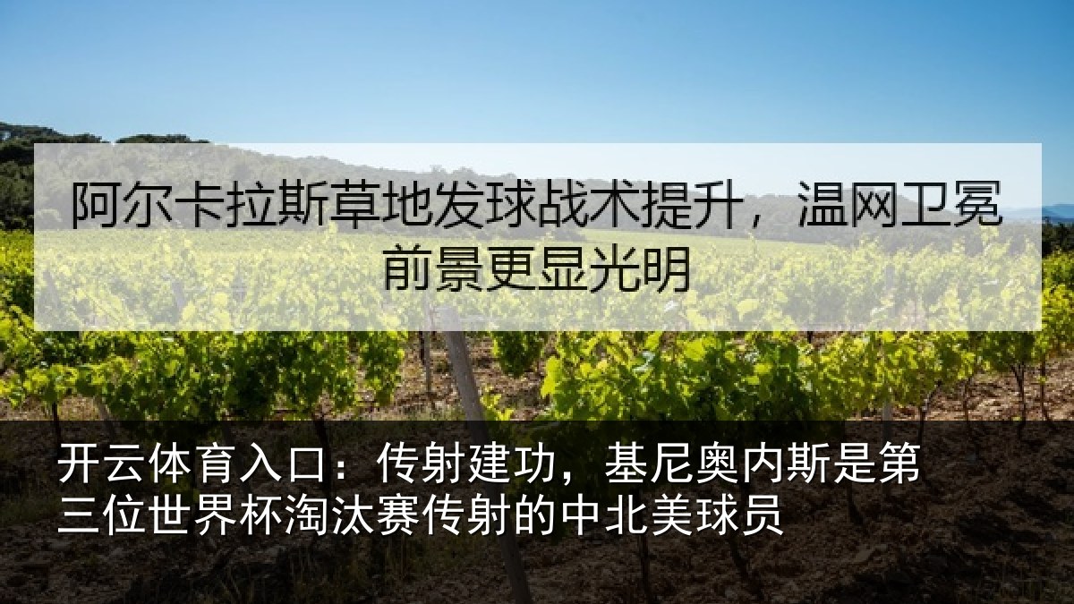 开云体育入口:传射相关情况第三相关情况射的中北美球员