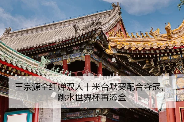 王宗源全红婵双人十米台默契配合夺冠，跳水世界杯再添金
